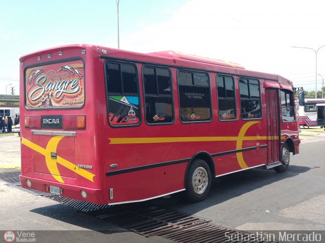 S.C.C. Expresos Sucre 038 por Sebasti�n Mercado