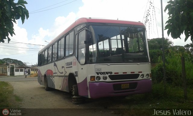 A.C. de Transporte Encarnaci�n 392 por Jes�s Valero