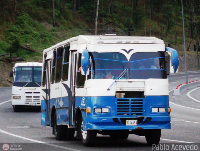 Particular o Desconocido Miranda por Pablo Acevedo