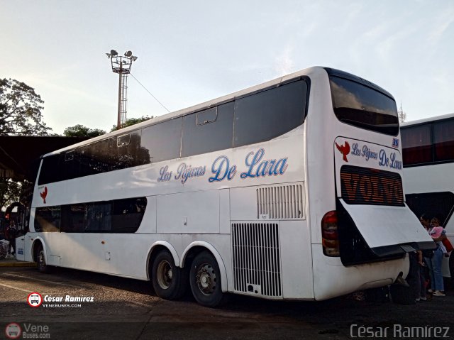 Los P�jaros de Lara 035 por C�sar Ram�rez