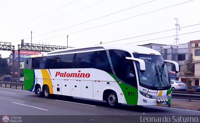 Expreso Internacional Palomino 671 por Leonardo Saturno