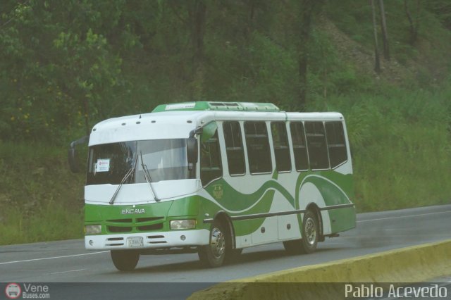 U.C. Falc�n Zulia 99 por Pablo Acevedo