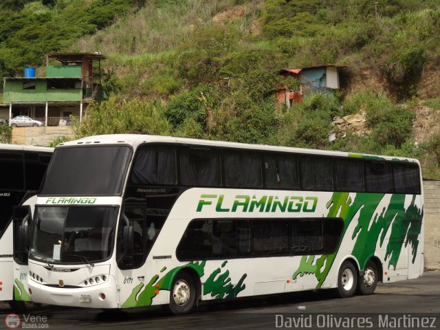 Expresos Flamingo 0171 por David Olivares Martinez