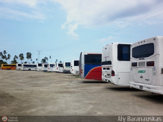 Garajes Paradas y Terminales Puerto-Cabello por Aly Baranauskas