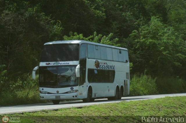 Expresos Occidente 036 por Pablo Acevedo