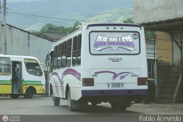 TA - A.C. Autos por puesto Lnea Palmira 053 por Pablo Acevedo