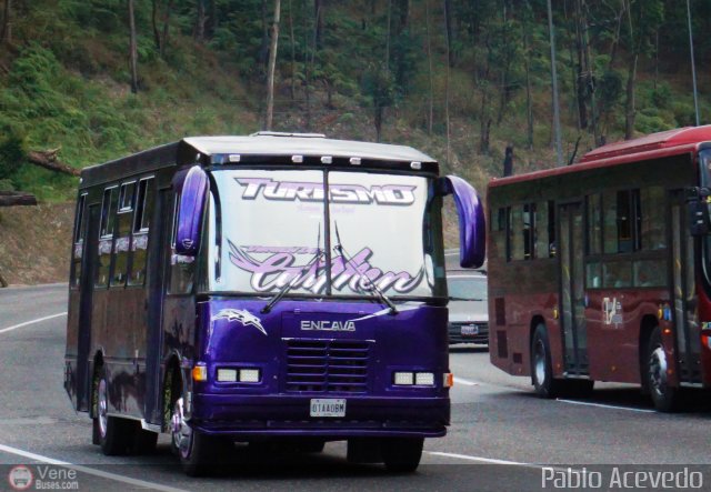 Particular o Desconocido Miranda por Pablo Acevedo