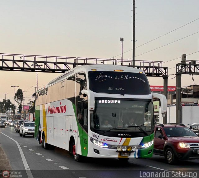 Expreso Internacional Palomino 7033 por Leonardo Saturno