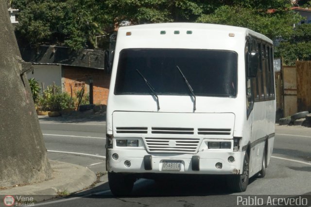 DC - Tigres de Plan de Manzano 096 por Pablo Acevedo