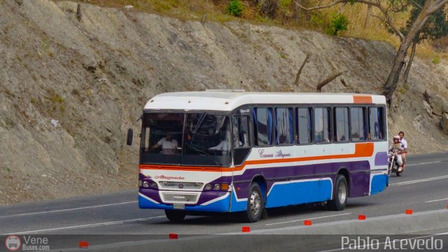 Colectivos Altagracia 17 por Pablo Acevedo