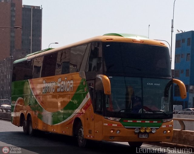 Grupo Divino Se�or S.A.C. 958 por Leonardo Saturno