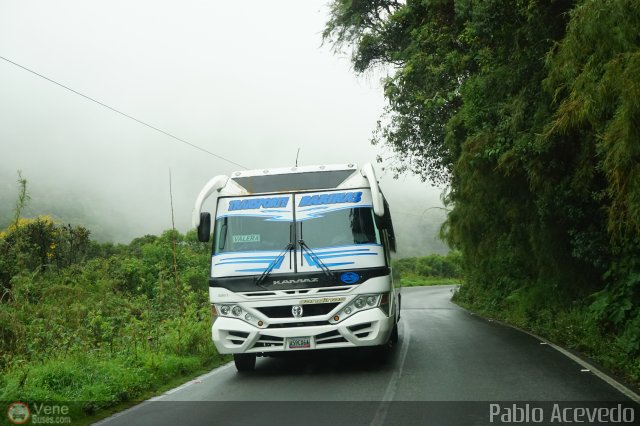 Transporte Barinas 022 por Pablo Acevedo