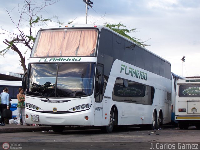 Expresos Flamingo 0077 por J. Carlos G�mez