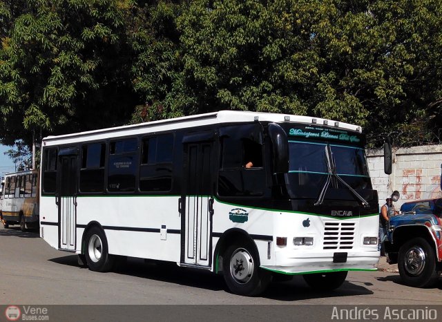A.C. Mensajeros Llanos del Sur 049 por Andr�s Ascanio