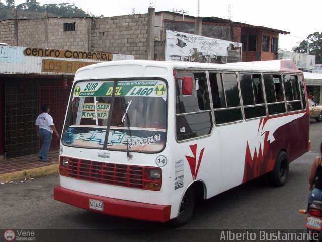 A.C. Sur del Lago R.L. 014 por Alberto Bustamante