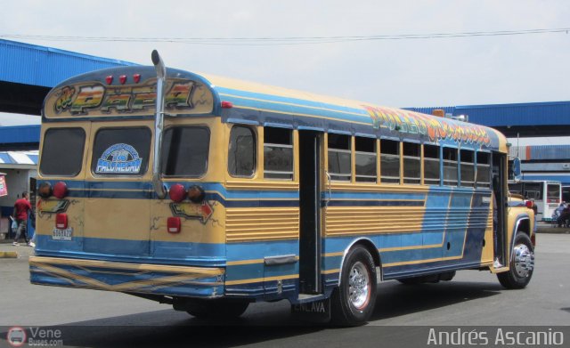 Transporte Palo Negro La Morita 2 118 por Andr�s Ascanio