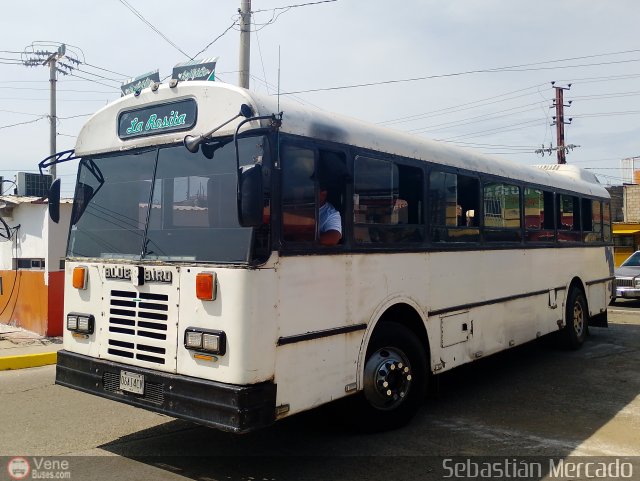 Colectivos La Rosita 008 por Sebasti�n Mercado
