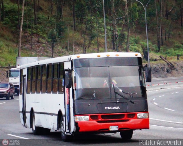 Particular o Desconocido Miranda por Pablo Acevedo