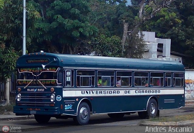 Universidad de Carabobo 115 por Andr�s Ascanio
