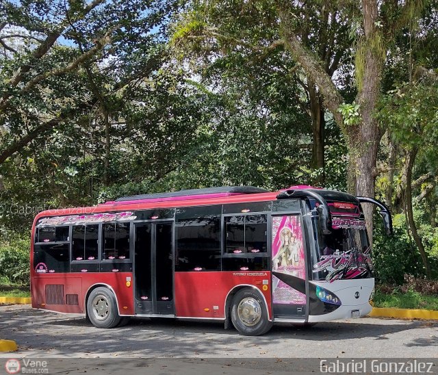 Expresos Mocot�es 09 por Gabriel Gonz�lez