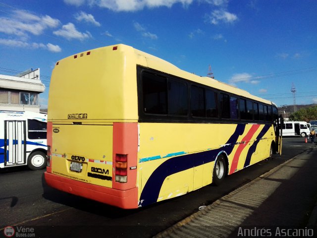 Ejecutivos Boga 30 por Andr�s Ascanio