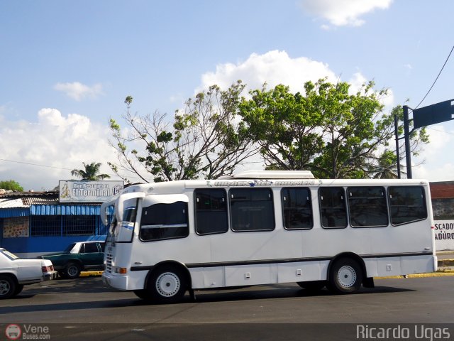 Particular o Desconocido 919 por Ricardo Ugas