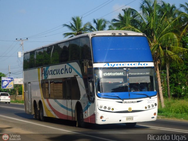 Unin Conductores Ayacucho 2077 por Ricardo Ugas