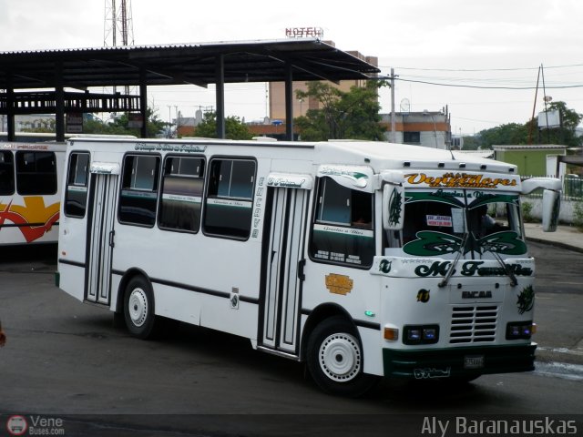 A.C. de Trans. Vencedores de Montalban 11 por Aly Baranauskas