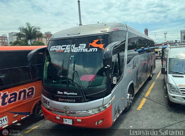 Flota Magdalena S.A. 1561 por Leonardo Saturno