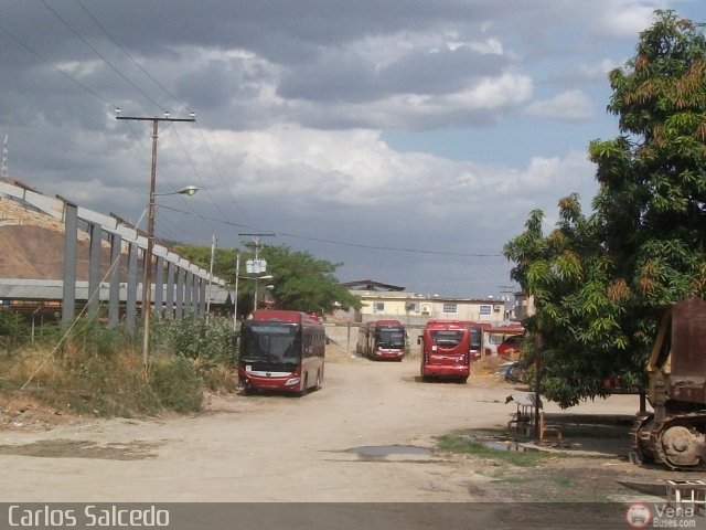 Garajes Paradas y Terminales Turmero por Carlos Salcedo