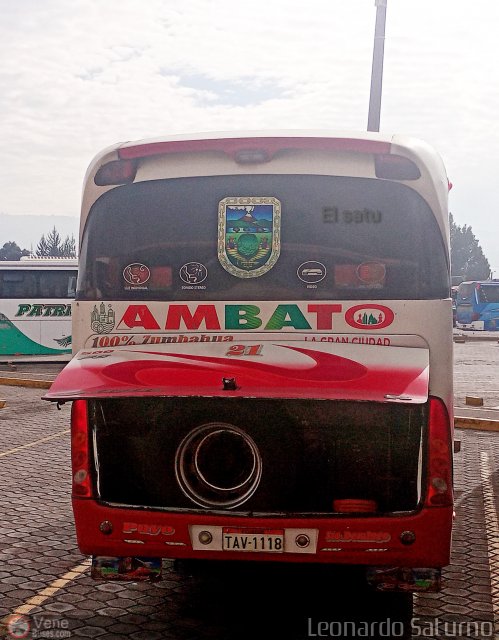 Particular o Desconocido 21 por Leonardo Saturno