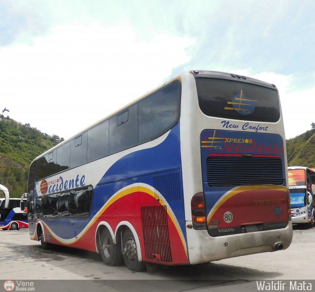 Expresos Occidente 172 por Waldir Mata