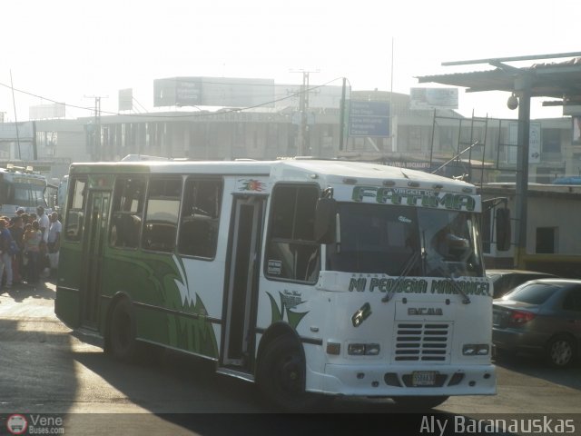 Uni�n MarVal 062 por Aly Baranauskas