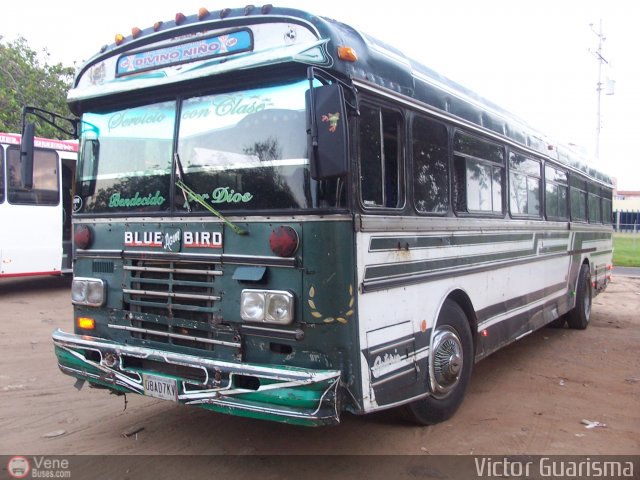 AN - A.C. de Conductores Divino Ni�o 123 por Victor Guarisma