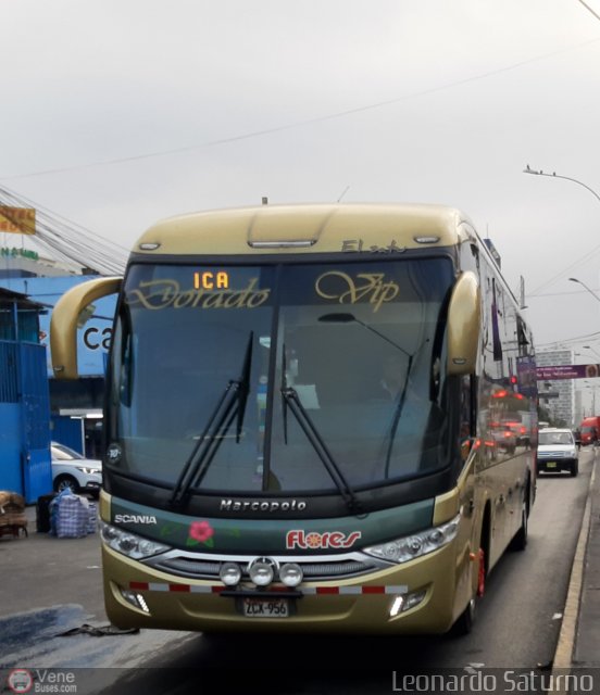 Transporte Flores Hermanos S.R.L 956 por Leonardo Saturno