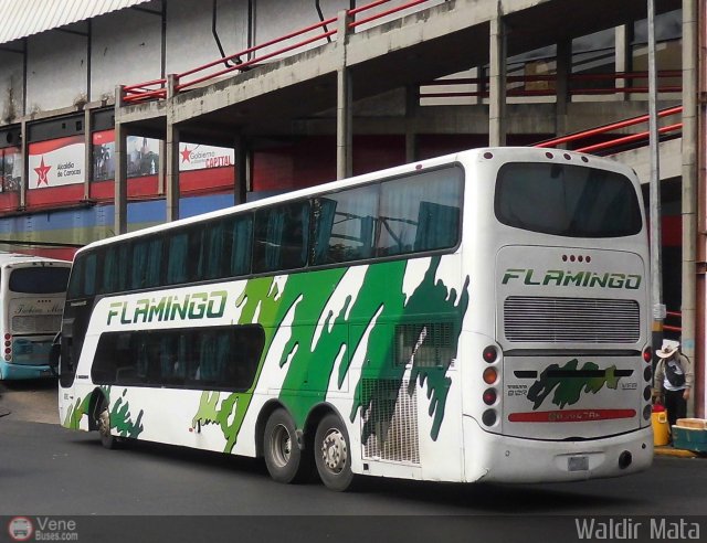 Expresos Flamingo 0063 por Waldir Mata