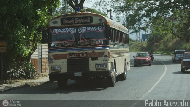 Particular o Desconocido 11 por Pablo Acevedo