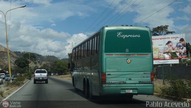 Expresos Coromoto 02 por Pablo Acevedo