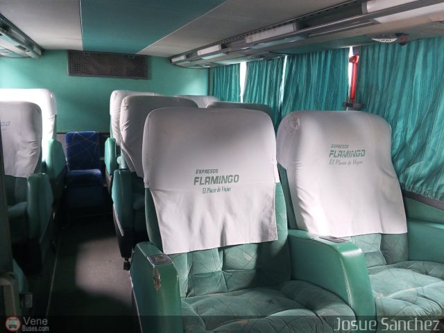 Expresos Flamingo 0141 por Josue S�nchez