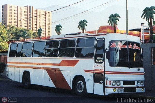 Los P�jaros de Lara 017 por Alejandro Curvelo