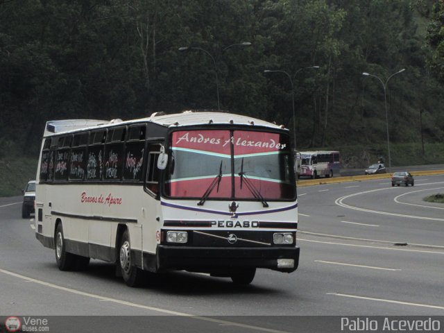 Bravos de Apure 15 por Pablo Acevedo