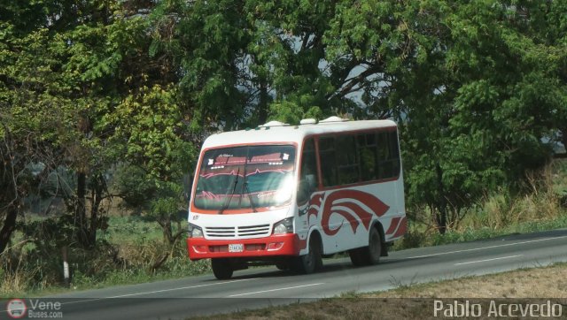 Particular o Desconocido 13 por Pablo Acevedo