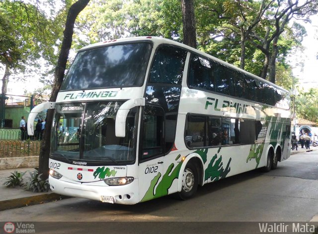 Expresos Flamingo 0102 por Waldir Mata