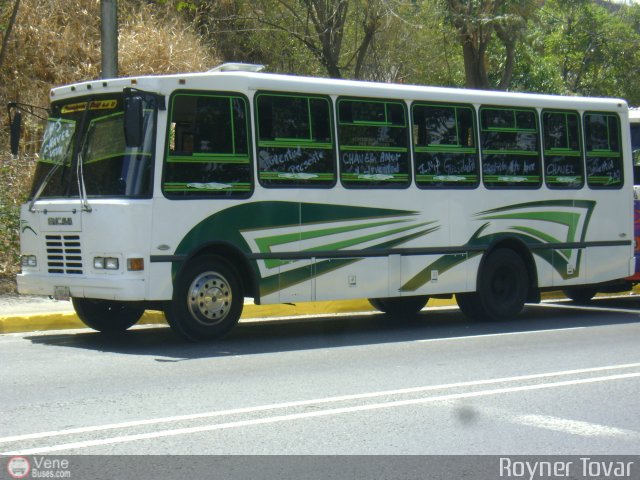 A.C. Transporte Paez 021 por Royner Tovar