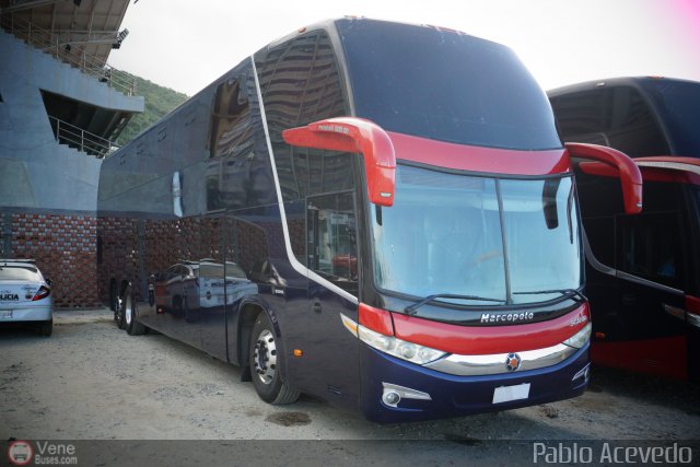 Tigres de Aragua B.B.C. 01 por Pablo Acevedo