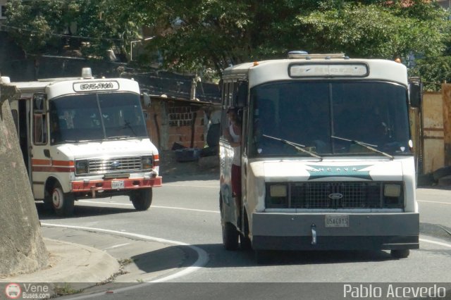 DC - Tigres de Plan de Manzano 043 por Pablo Acevedo