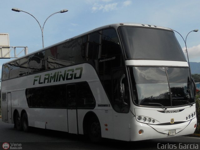 Expresos Flamingo 0108 por Carlos Garca