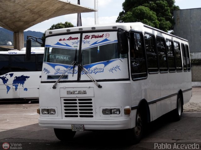 Lnea El Pial A.C. 31 por Pablo Acevedo