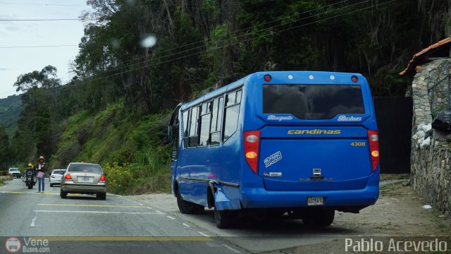 Transporte Barinas 146 por Pablo Acevedo