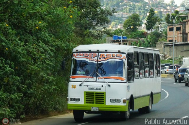 A.C. Indepasib 016 por Pablo Acevedo